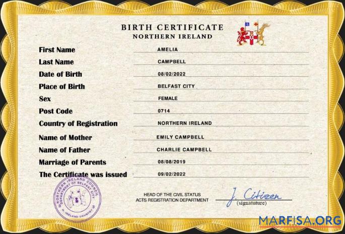 Blank Northern Ireland vital record birth certificate PSD template